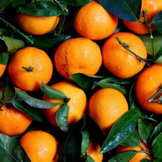 CUCCIO BEURRE TANGERINE ET ARGAN POUR LES MAINS, PIEDS ET CORPS  (7278404894786) (7439062990914)