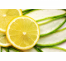 COMPLEXE REVITALISANT À CUTICULES LIMETTE ET ALOE VERA DE LA MARQUE CUCCIO ET UNE HUILE À CUTICULE (7439043592258) (7278436188226)