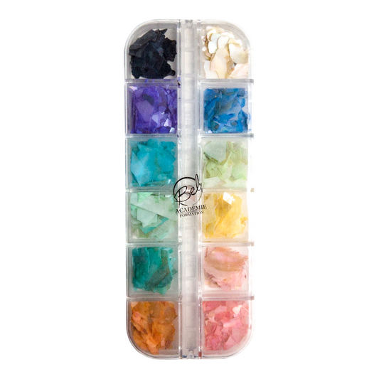 Boîte 12 Coquillages - Shells (4404950335554)