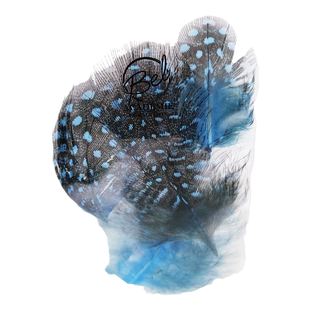 Plumes Colorés bleu pour nail art (4343433855042)