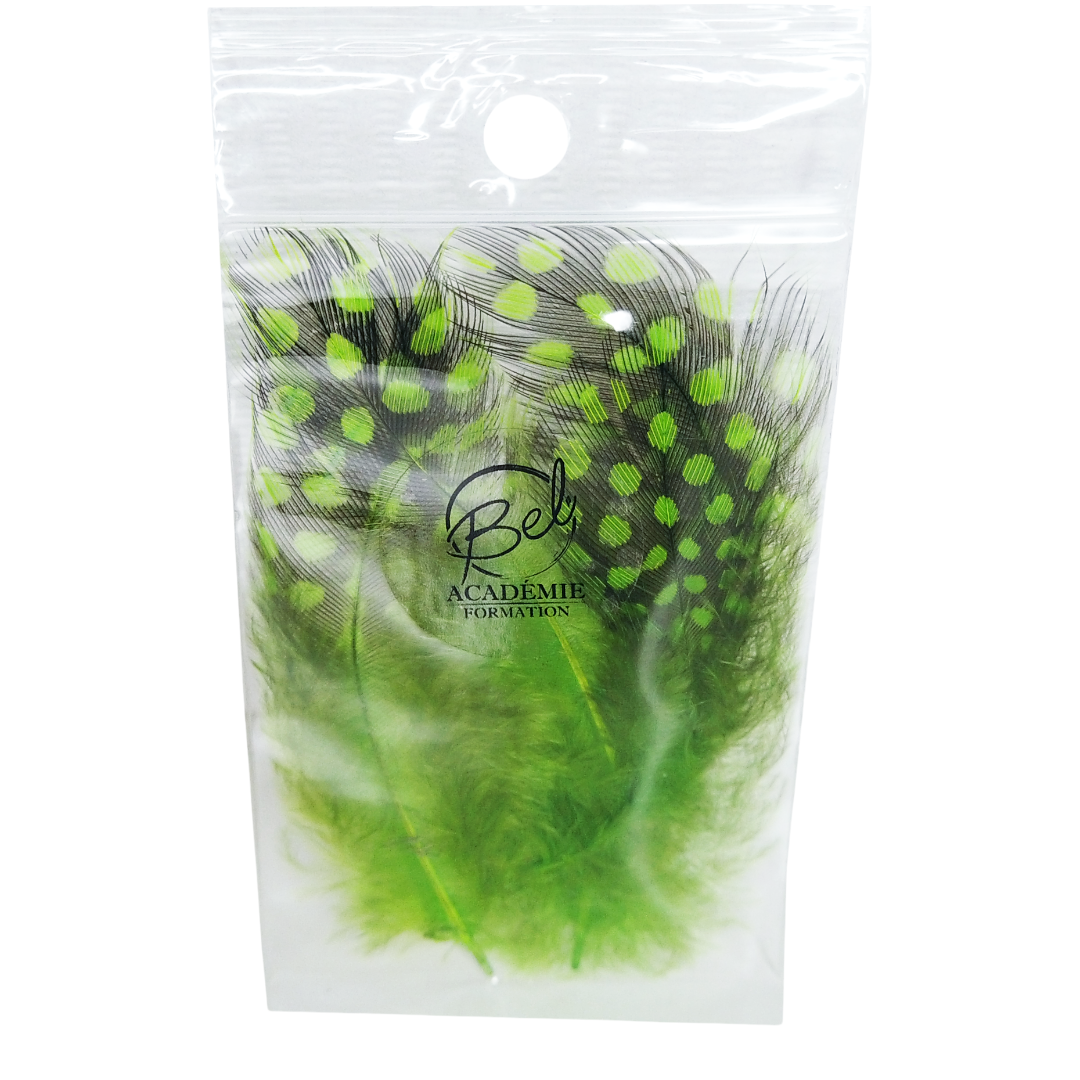 Plumes Colorés lime pour nail art (4343433855042)