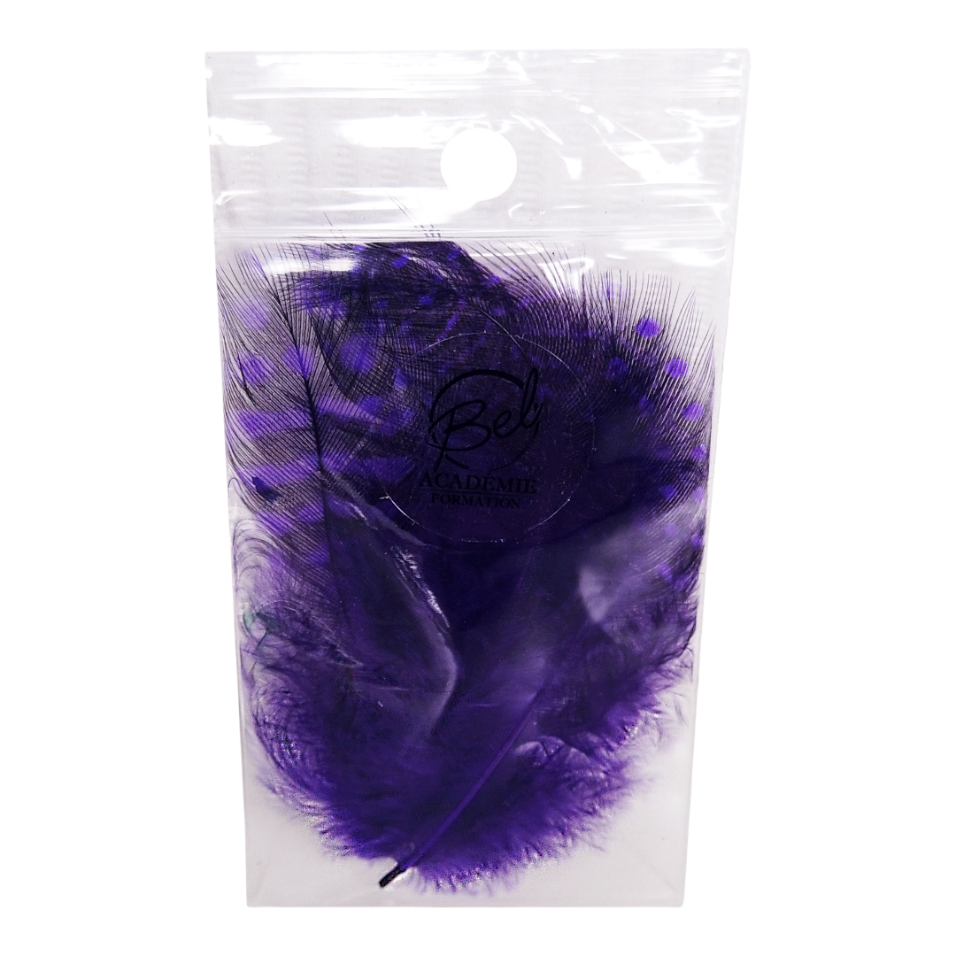 Plumes Colorés mauve pour nail art (4343433855042)