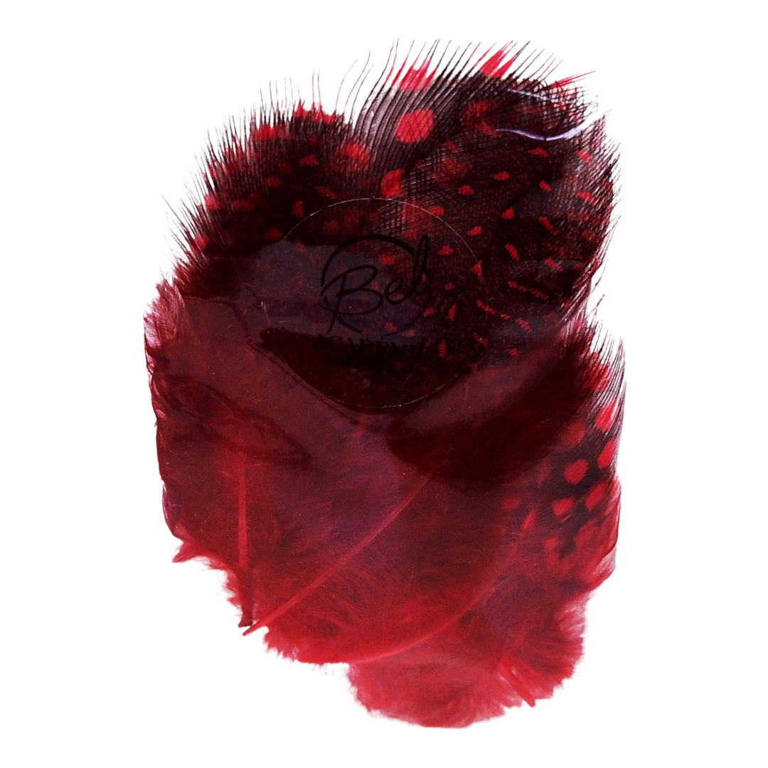 Plumes Colorés rouge pour nail art (4343433855042)