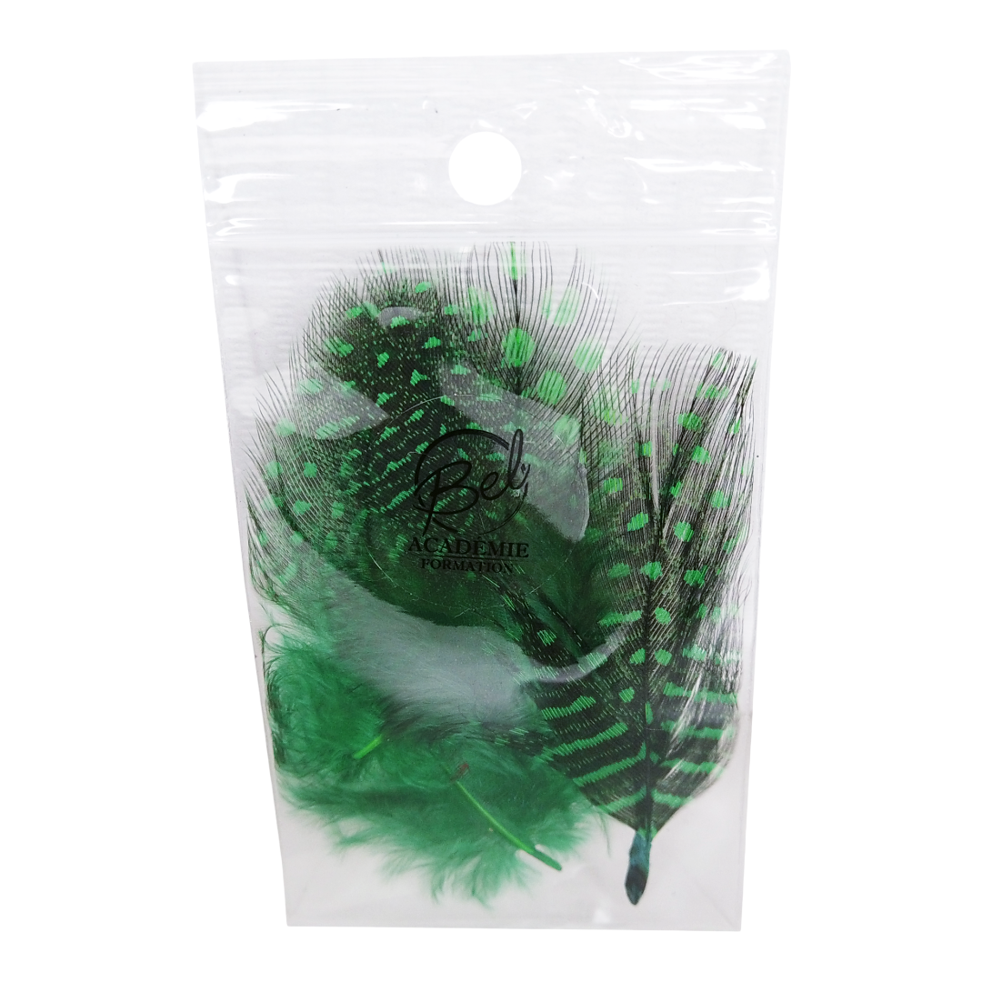 Plumes Colorés vertes pour nail art (4343433855042)